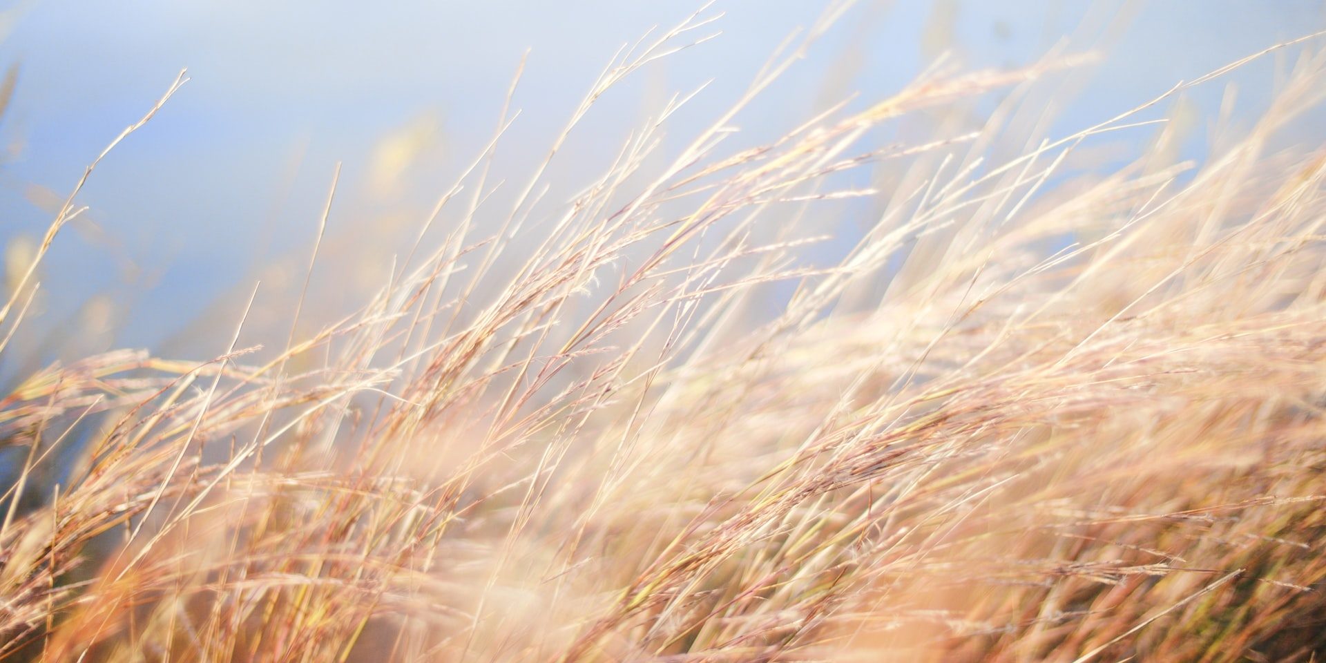 seth-schwiet-qVb-K2mFtDU-unsplash