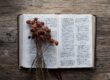 brown flower and book