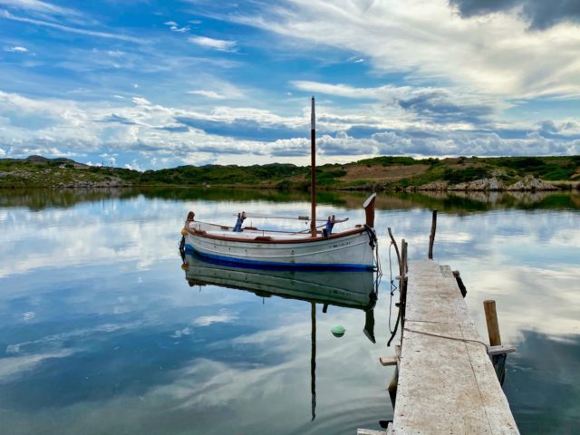 blue and white boat on dock during daytime