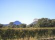 a view of a field with a mountain in the background
