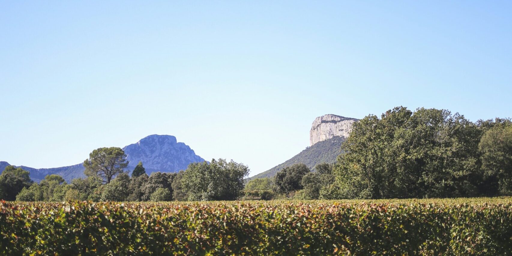 Photo par Morgane Le Breton a view of a field with a mountain in the background