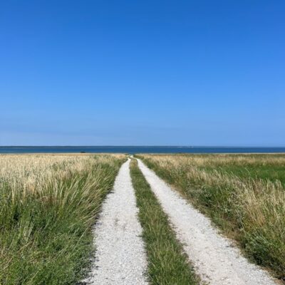 Photo by Lise L Moen a dirt road in a field