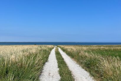 a dirt road in a field